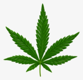 Image - Marijuana Leaf Small, HD Png Download, Transparent PNG