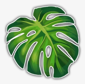 #aesthetic #tropical #sticker #freetouse #leaf #green - Aesthetic Palm Leaves Png, Transparent Png, Transparent PNG