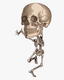 Skeleton Dancing Clip Art, HD Png Download, Transparent PNG