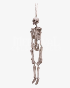 Transparent Hanging Png - Hanging Skeleton Png, Png Download, Transparent PNG