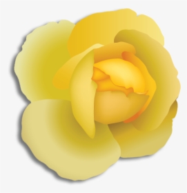 Japanese Camellia, HD Png Download, Transparent PNG