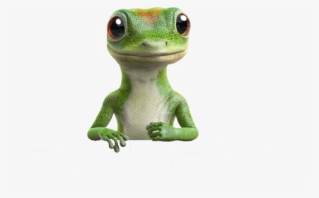 Transparent Geico Lizard Png - Geico Insurance, Png Download, Transparent PNG