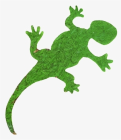 Gecko Holzfigur Figure - International Year Of Forests 2011, HD Png Download, Transparent PNG