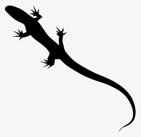 Lizard Svg Silhouette Clipart , Png Download - Silhouette, Transparent Png, Transparent PNG