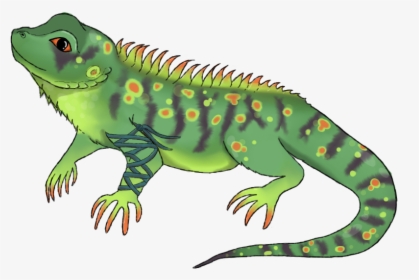 Horned Lizard Clipart Green Iguana - Transparent Background Iguana Clipart, HD Png Download, Transparent PNG