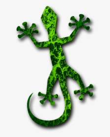 Lizard Clip Art Download - Gecko Clipart No Background, HD Png Download, Transparent PNG