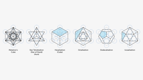 Metatron Solids - Svg - Platonic Solids In Metatron's Cube, HD Png Download, Transparent PNG