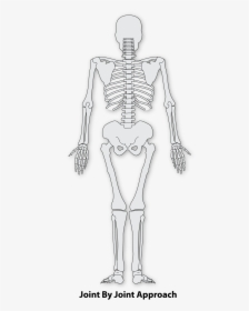 Transparent Skeleton Arm Png - Highfield Awarding Body For Compliance, Png Download, Transparent PNG