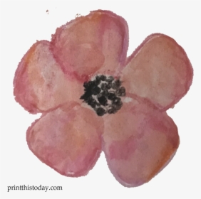 Watercolor Flower Clipart Free - Anemone, HD Png Download, Transparent PNG
