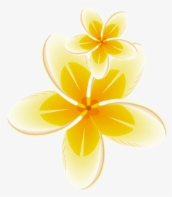 #yellow #frame #bloom #flower #border #flowers #white - Frangipani, HD Png Download, Transparent PNG
