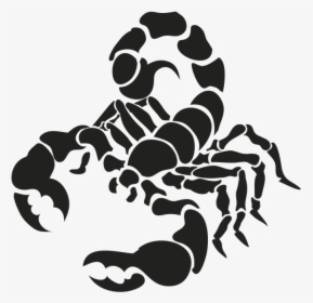 Cancer Astrology Png Download - Scorpion Vector, Transparent Png, Transparent PNG