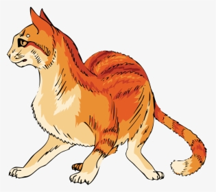 Free Clipart Of A Scared Orange Cat Cat- - Mango Shaped Space Cat Colrs, HD Png Download, Transparent PNG