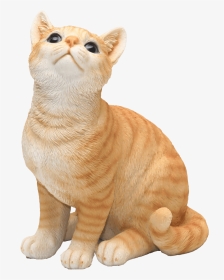 Transparent Orange Cat Png - Cat Sit, Png Download, Transparent PNG