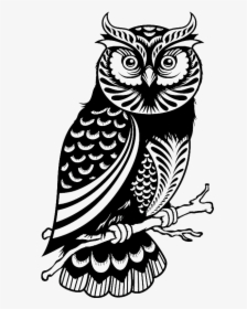 Wise Owl Png Black And White - Silhouette Owl Clipart Black And White, Transparent Png, Transparent PNG