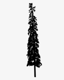 Transparent Pine Tree Silhouette Png - Christmas Tree, Png Download, Transparent PNG