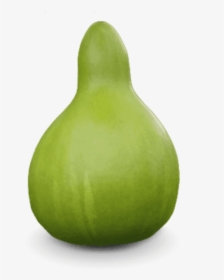 Chayote, HD Png Download, Transparent PNG