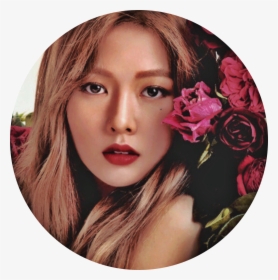 Mediocre Kpop Edits~ Hyuna X Beige Aesthetic Icons~ - Rose Edit Icons, HD Png Download, Transparent PNG