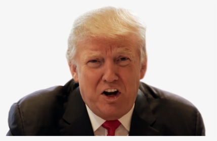 Donald Trump - Businessperson, HD Png Download, Transparent PNG