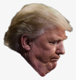 Cut Out Trump Face, HD Png Download, Transparent PNG