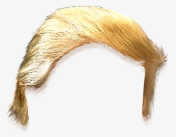 Donald Trumps Hair Png, Transparent Png, Transparent PNG