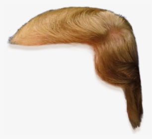 Donald Trump Hair Only, HD Png Download, Transparent PNG
