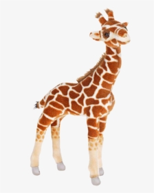 Transparent Baby Giraffe Png - Stuffed Animal Giraffe Transparent Background, Png Download, Transparent PNG