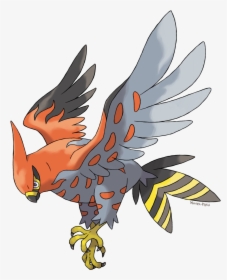 Image - Pokemon Talonflame, HD Png Download, Transparent PNG