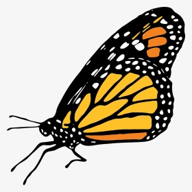 Transparent Mariposas Vector Png - Mariposa Monarca Dibujo Png, Png Download, Transparent PNG