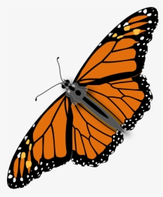 Should We Eat Bugs - Monarch Butterfly Transparent Background, HD Png Download, Transparent PNG