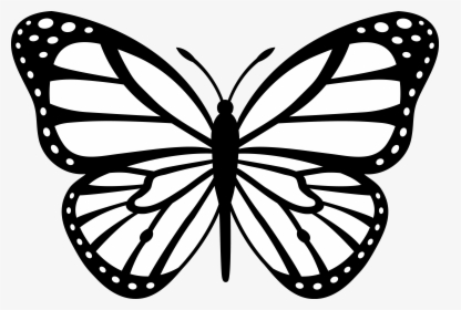 Butterfly Clipart Black And White, HD Png Download, Transparent PNG
