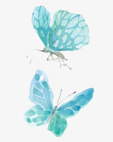 Ai Vector Watercolor Butterfly - Watercolour Butterfly No Background, HD Png Download, Transparent PNG