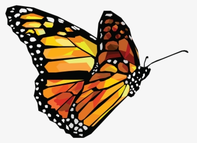 Transparent Butterfly Vector Png - Butterfly Vector Png, Png Download, Transparent PNG
