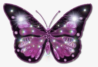 Butterfly Pictures Clipart Free - Beautiful Butterfly Image Download, HD Png Download, Transparent PNG