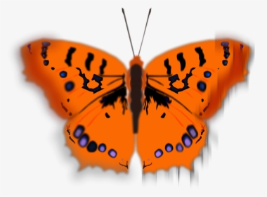 Mariposa Pirata - Clipart Butterfly Orange, HD Png Download, Transparent PNG