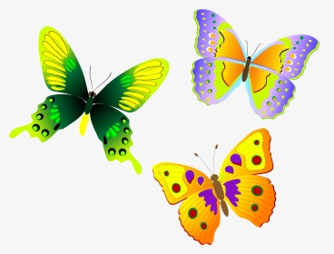 Monarch Butterfly Euclidean Vector - Clip Art Butterfly Design, HD Png Download, Transparent PNG