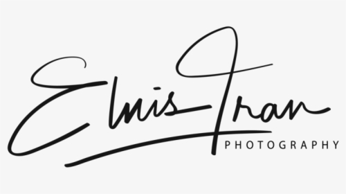 Elvis Signature Png, Transparent Png, Transparent PNG