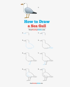 How To Draw Seagull - Seabird, HD Png Download, Transparent PNG