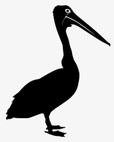 Bird Australian Pelican Silhouette Clip Art - Pelicano Silueta Png, Transparent Png, Transparent PNG