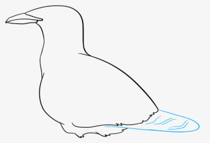 How To Draw Seagull - European Herring Gull, HD Png Download, Transparent PNG