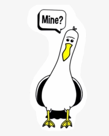 Scseagull Seagull Nemo Disney Mine Freetoedit - Seagulls Meme, HD Png Download, Transparent PNG