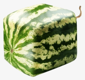 Square Watermelon - Square Watermelon Cut In Half, HD Png Download, Transparent PNG