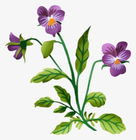 Pansy Transparent Background Clipart , Png Download - Transparent Background Clip Art, Png Download, Transparent PNG