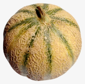 Melon Png - Melon, Transparent Png, Transparent PNG