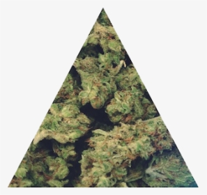 Weed Marijuana Ganja High Edit Nugs Triangle Stoned - Weed Png, Transparent Png, Transparent PNG