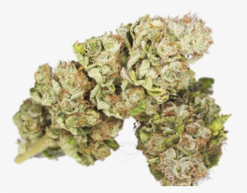 Weed - Purple Bruce Banner Weed, HD Png Download, Transparent PNG