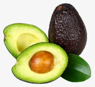 Avocado Food Fruit Hair - Avocado Png, Transparent Png, Transparent PNG