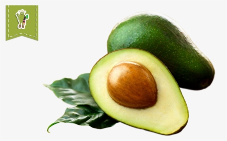 Organic Hass Avocado Frhomimexfrhomimex - Aguacate Png, Transparent Png, Transparent PNG