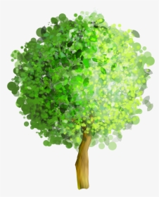 Green Art Png Gallery - Tree Water Color Png, Transparent Png, Transparent PNG
