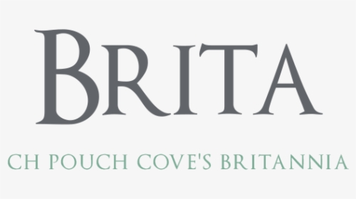 Brita - Indian Boutique, HD Png Download, Transparent PNG