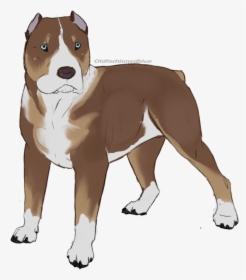 American Staffordshire Terrier American Pit Bull Terrier - Perro Pitbull Dibujo Png, Transparent Png, Transparent PNG